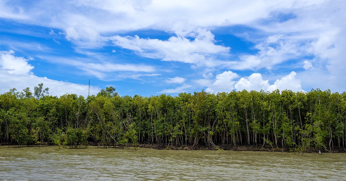 Bangladesh travel eSIM with fast 5G/4G/LTE mobile data coverage from MegaEsim