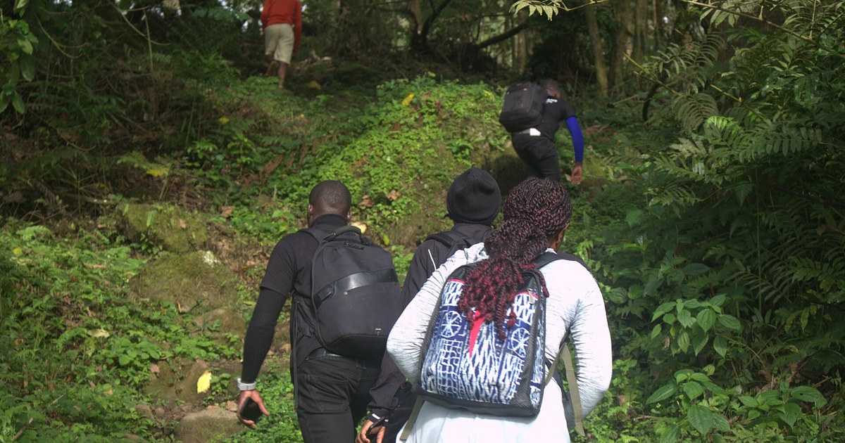 Cameroon travel eSIM — fast 4G/5G mobile data coverage with MegaEsim