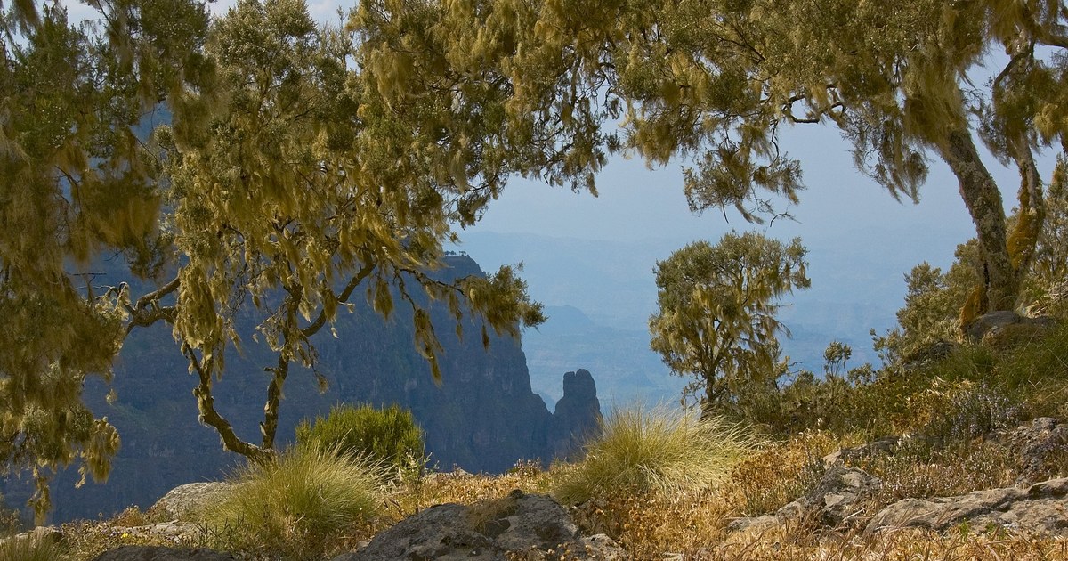 Ethiopia travel eSIM with fast 4G/5G mobile data coverage from MegaEsim