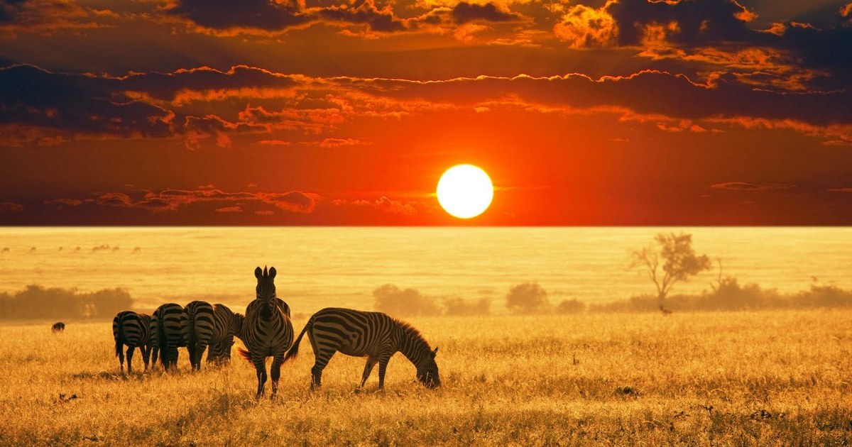 Kenya travel eSIM — fast 4G/5G mobile data coverage with MegaEsim