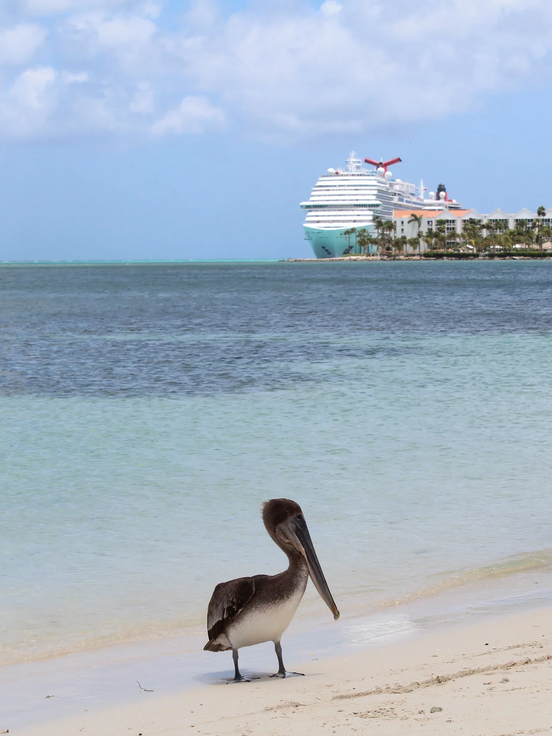 Aruba travel eSIM — fast 4G/5G mobile data coverage with MegaEsim