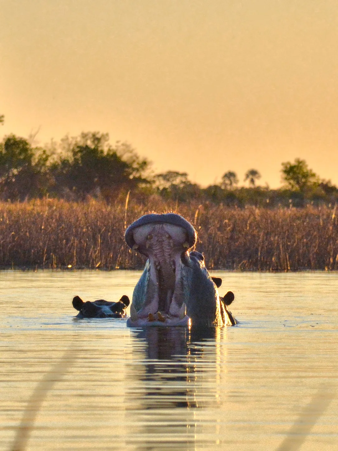 Botswana travel eSIM — fast 4G/5G mobile data coverage with MegaEsim