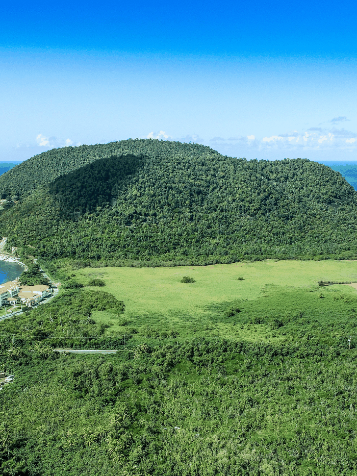 Dominica travel eSIM with fast 5G/4G/LTE mobile data coverage from MegaEsim