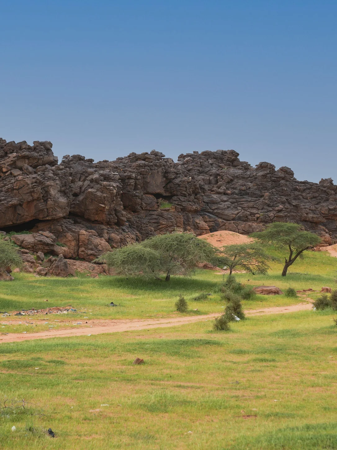 Mauritania travel eSIM — fast 4G/5G mobile data coverage with MegaEsim