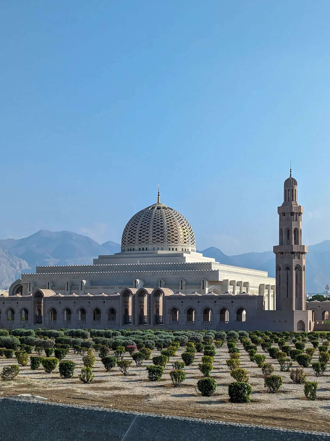 Oman travel eSIM — fast 4G/5G mobile data coverage with MegaEsim