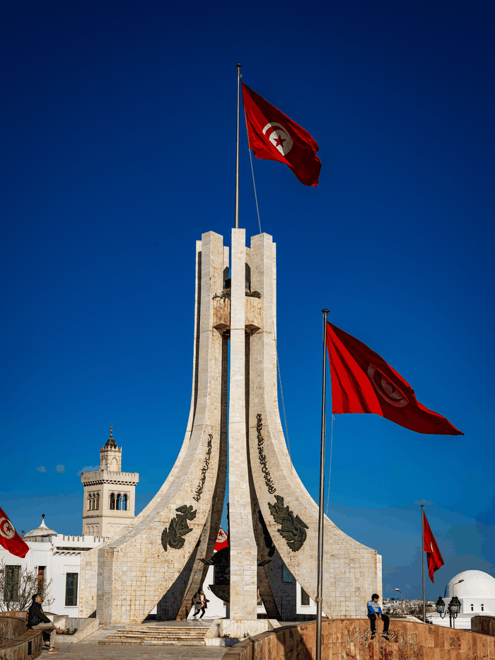 Tunisia travel eSIM — fast 4G/5G mobile data coverage with MegaEsim